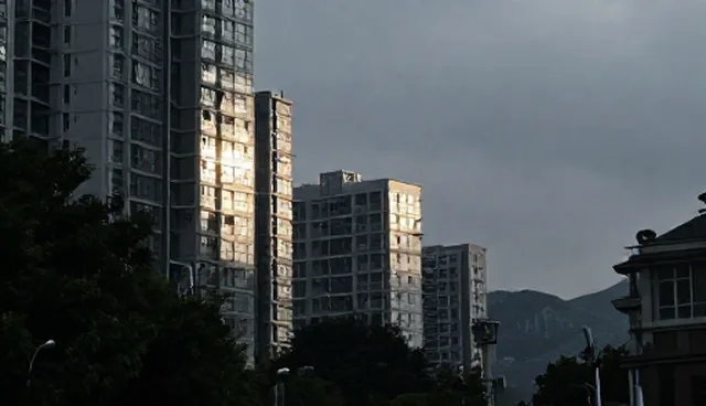 教育咨询适用情况与限制分析